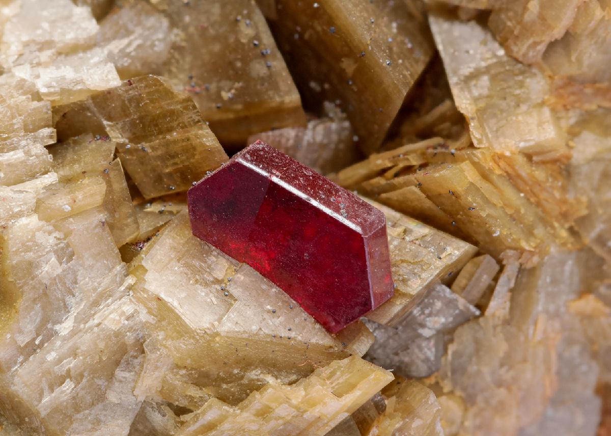 CC8607 specimen image