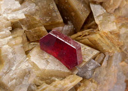 CC8607 specimen image