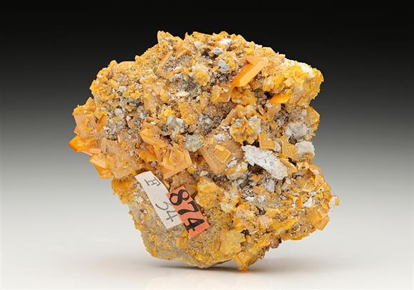 CC8608 specimen image