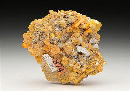 CC8608 specimen image