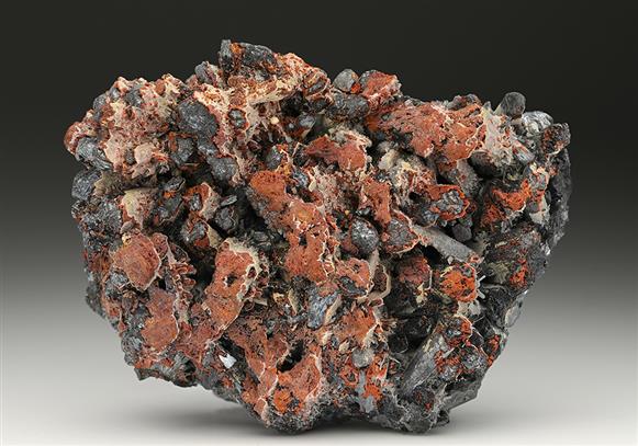 CC8623 specimen image