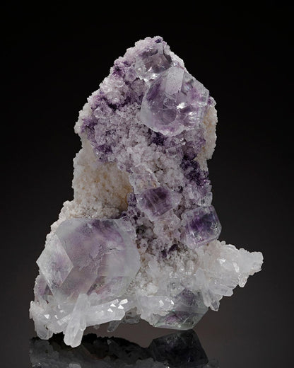 CC8639 specimen image