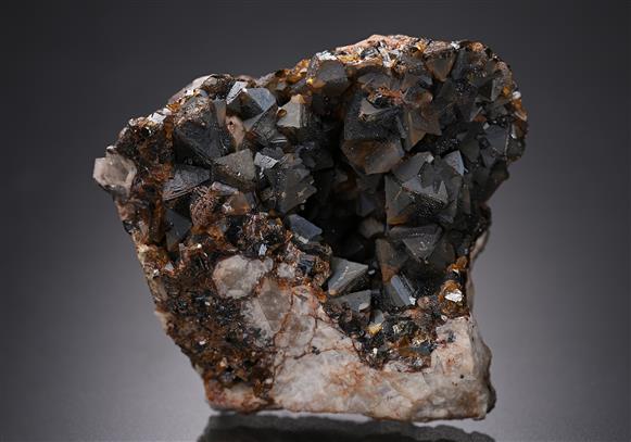 CC8668 specimen image