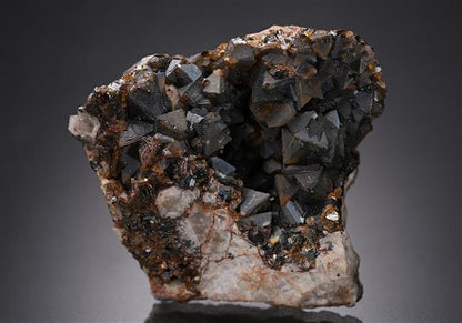 CC8668 specimen image