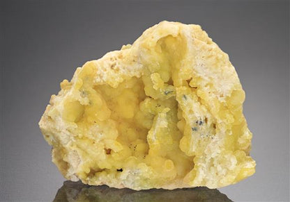 CC8683 specimen image