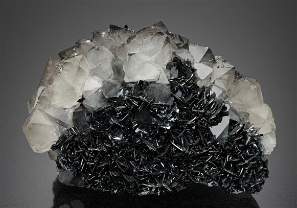 CC8689 specimen image