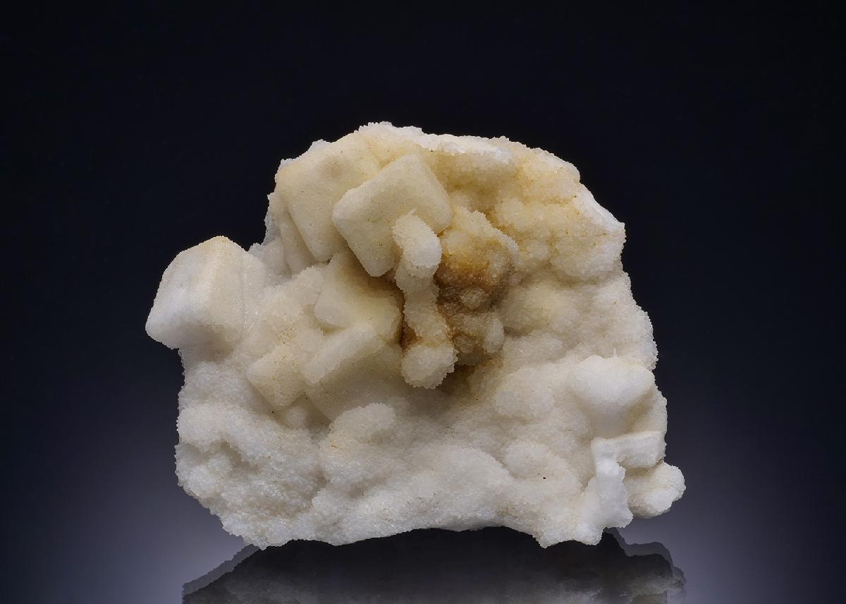 CC8693 specimen image