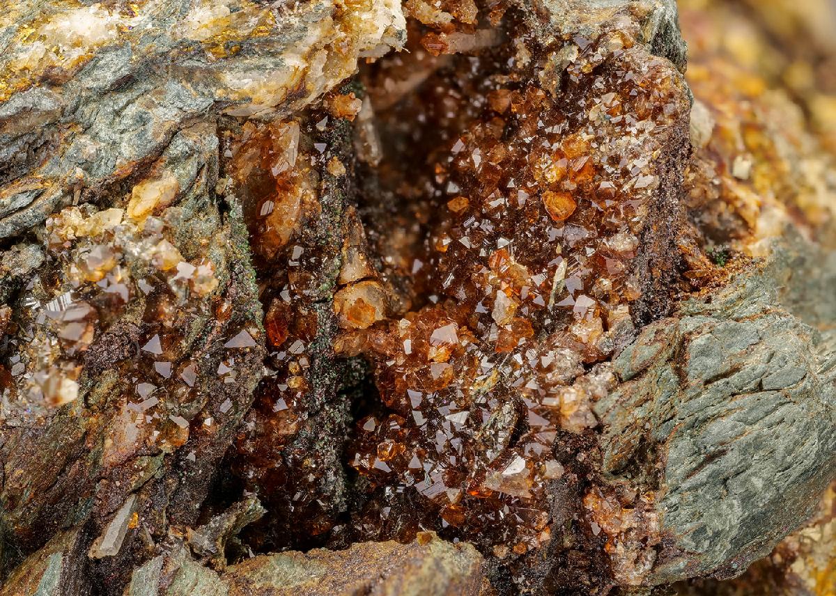 CC8699 specimen image