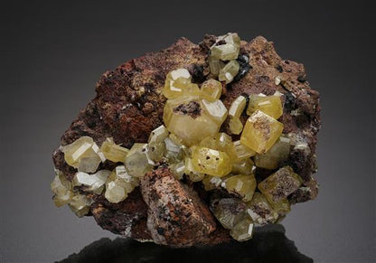 CC8743 specimen image