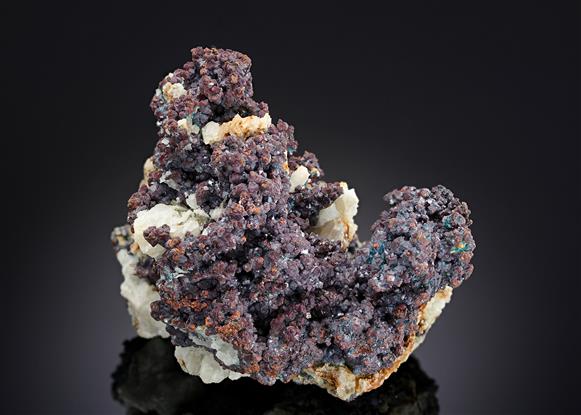 CC8744 specimen image