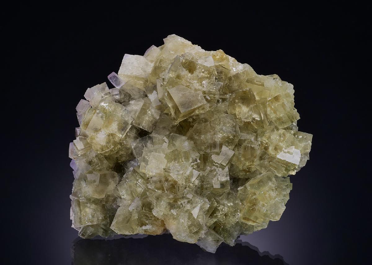 CC8753 specimen image