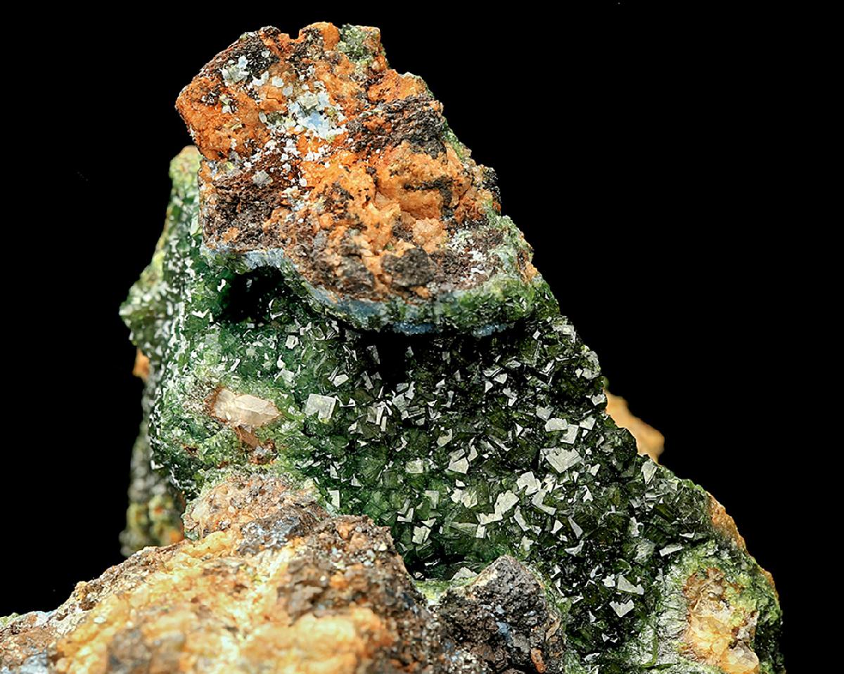 CC8766 specimen image