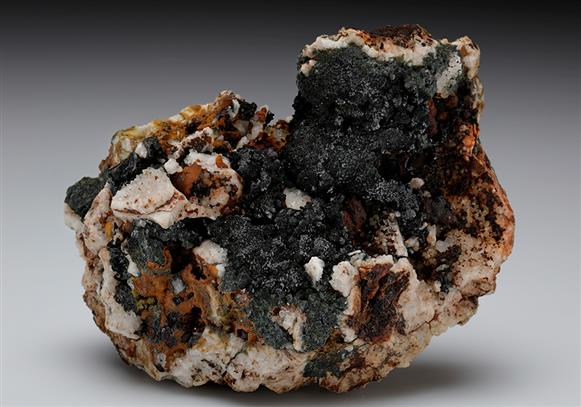 CC8770 specimen image