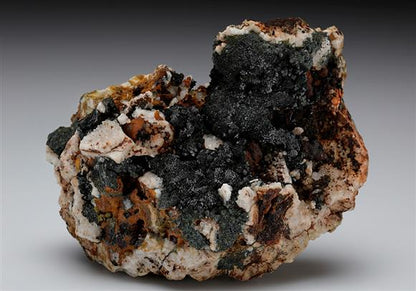 CC8770 specimen image