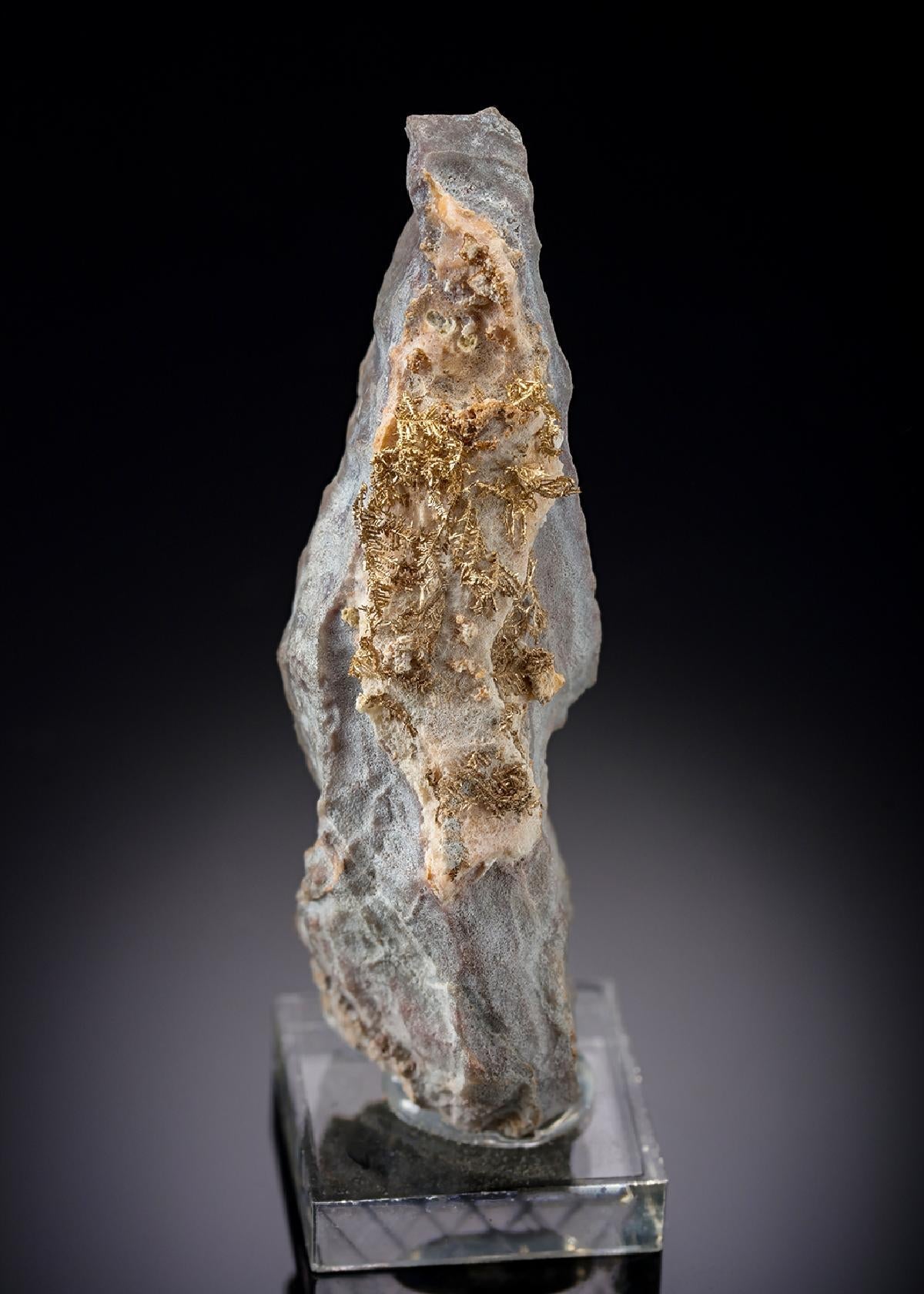 CC8780 specimen image