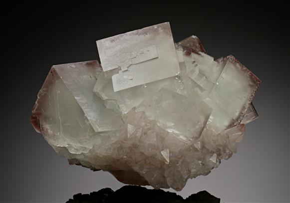 CC8789 specimen image