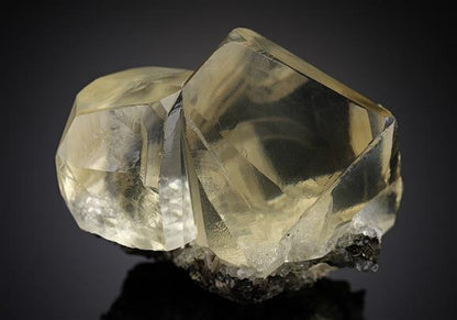 CC8838 specimen image