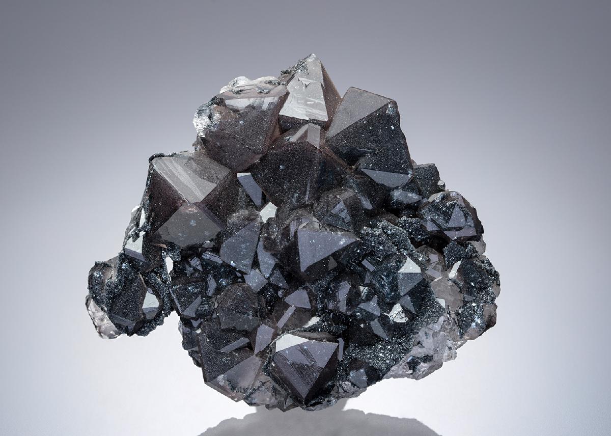 CC8891 specimen image