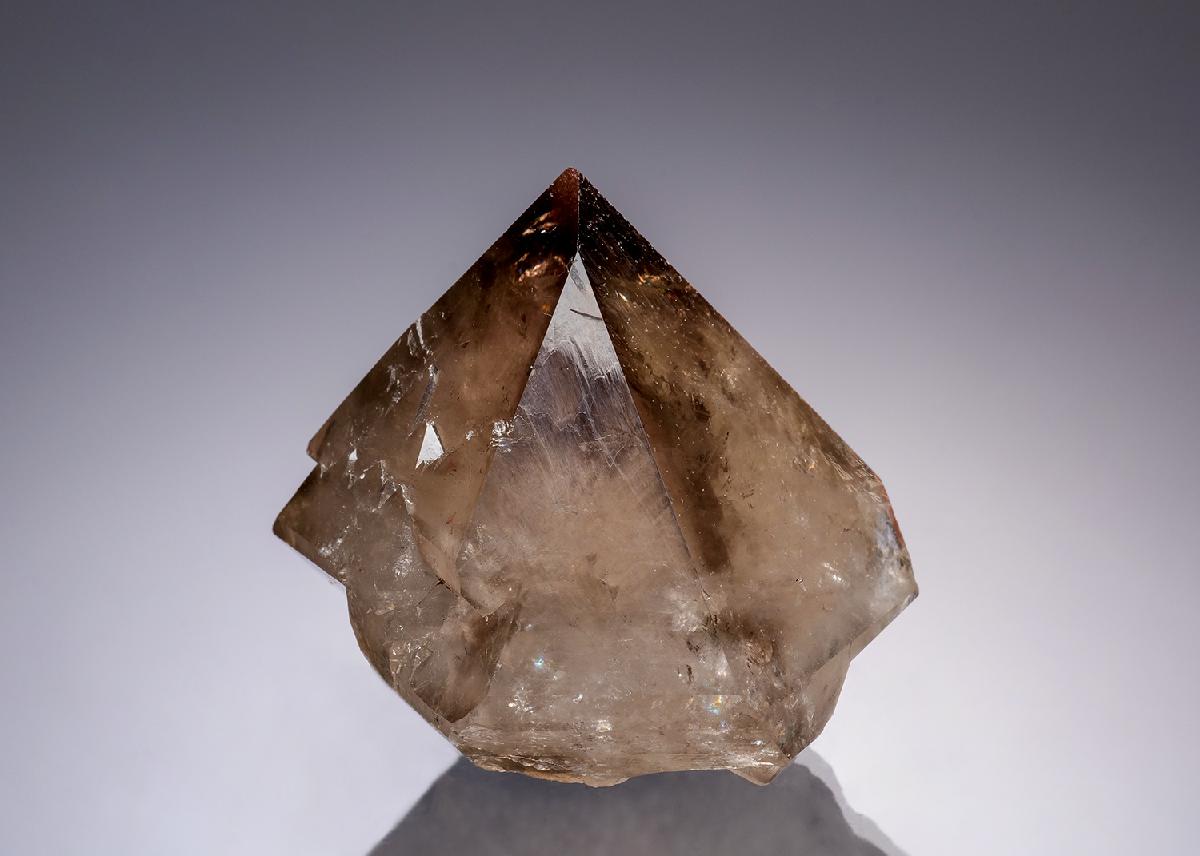 CC8896 specimen image