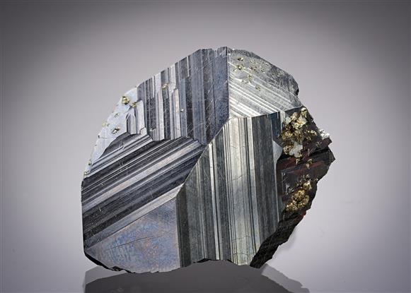 CC8922 specimen image