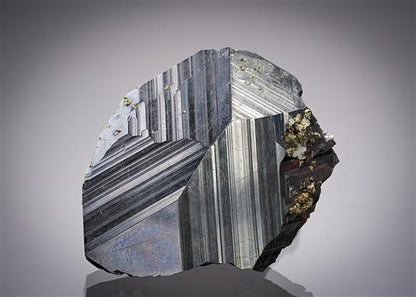 CC8922 specimen image