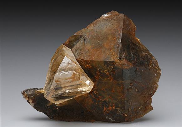 CC8923 specimen image