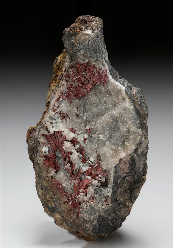 CC8928 specimen image