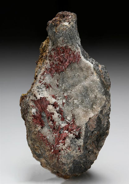 CC8928 specimen image