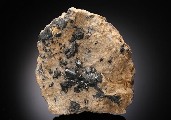 CC8938 specimen image