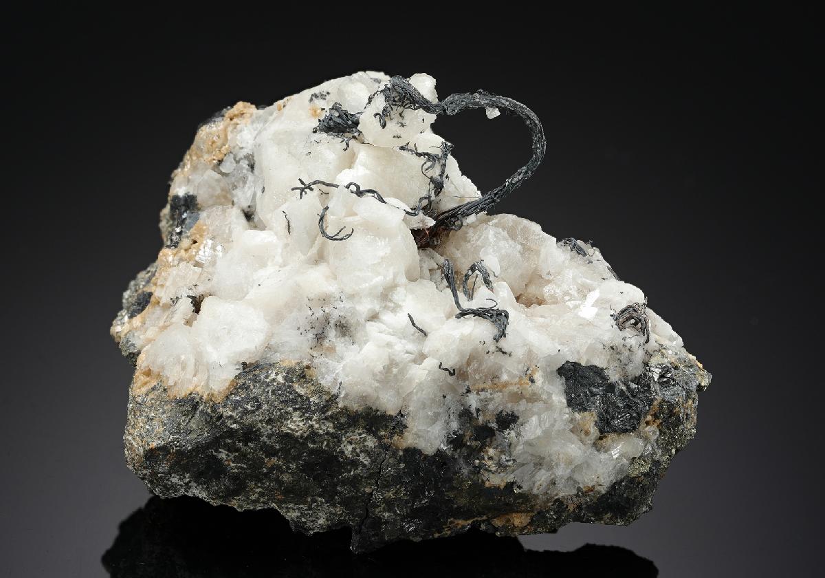 CC8941 specimen image