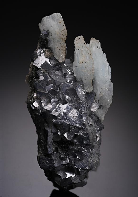 CC8945 specimen image