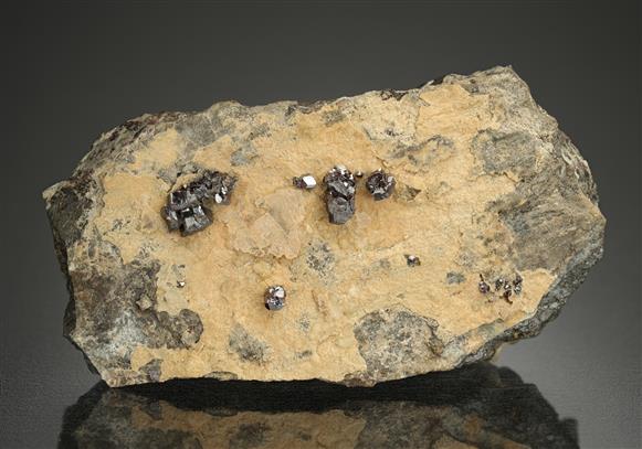 CC8946 specimen image