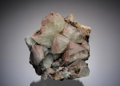CC8949 specimen image