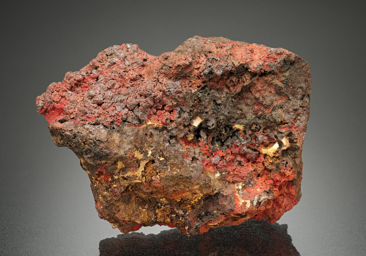 CC8951 specimen image