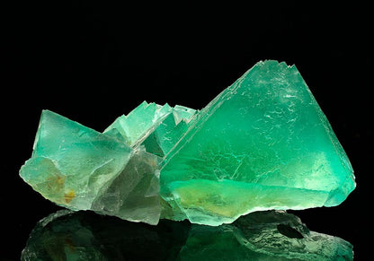 CC8958 specimen image