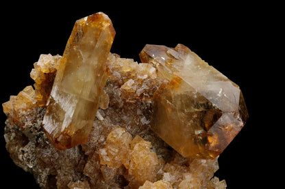 CC8967 specimen image