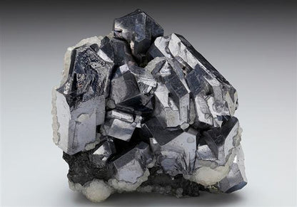 CC8986 specimen image