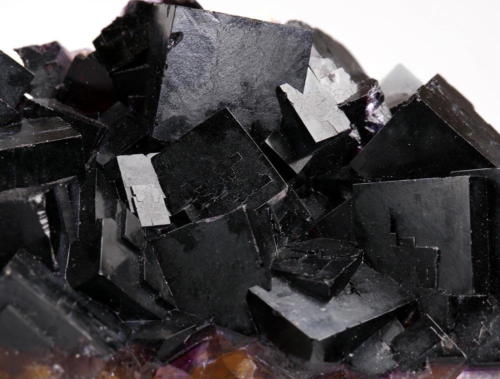 CC9002 specimen image