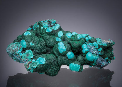 CC9015 specimen image