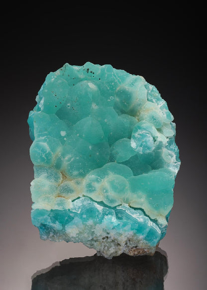 CC9020 specimen image