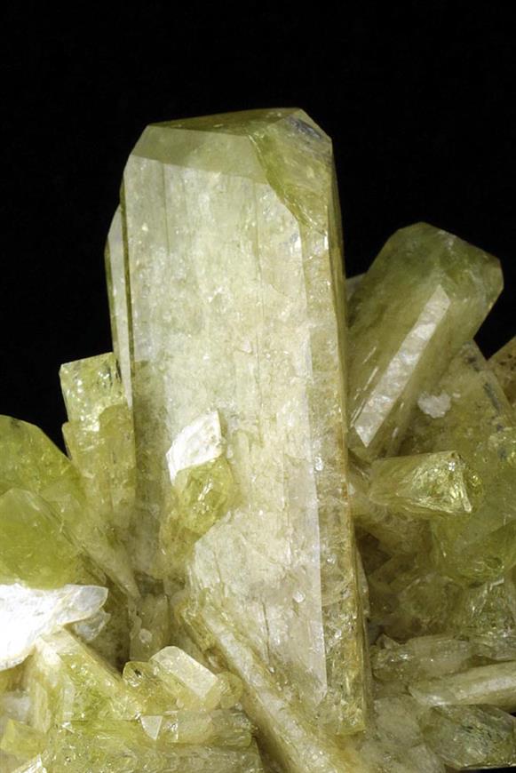 CC9025 specimen image