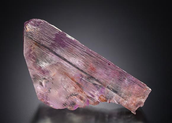 CC9027 specimen image