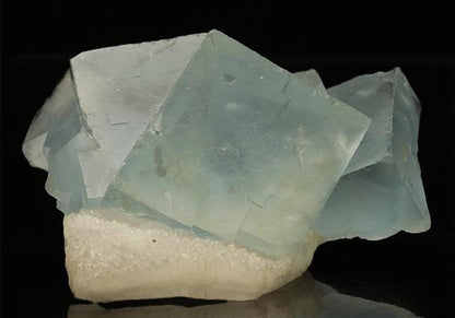 CC9040 specimen image