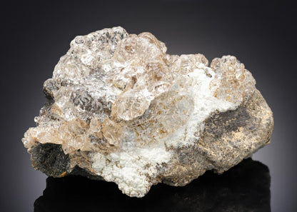 CC9052 specimen image