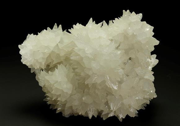 CC9058 specimen image