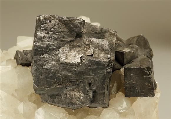 CC9061 specimen image