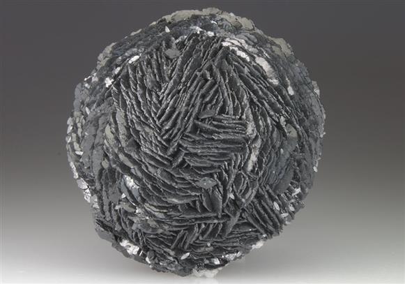 CC9071 specimen image
