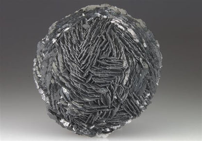 CC9071 specimen image