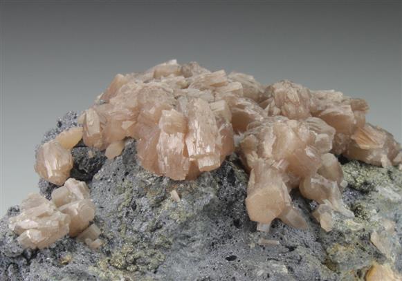 CC9074 specimen image