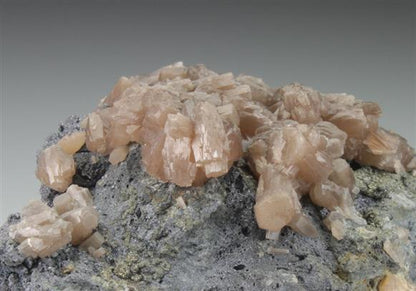 CC9074 specimen image
